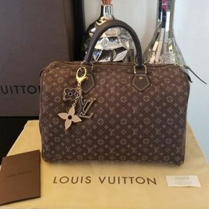 🌲❗Louis Vuitton Speedy 30 mini lin monogram